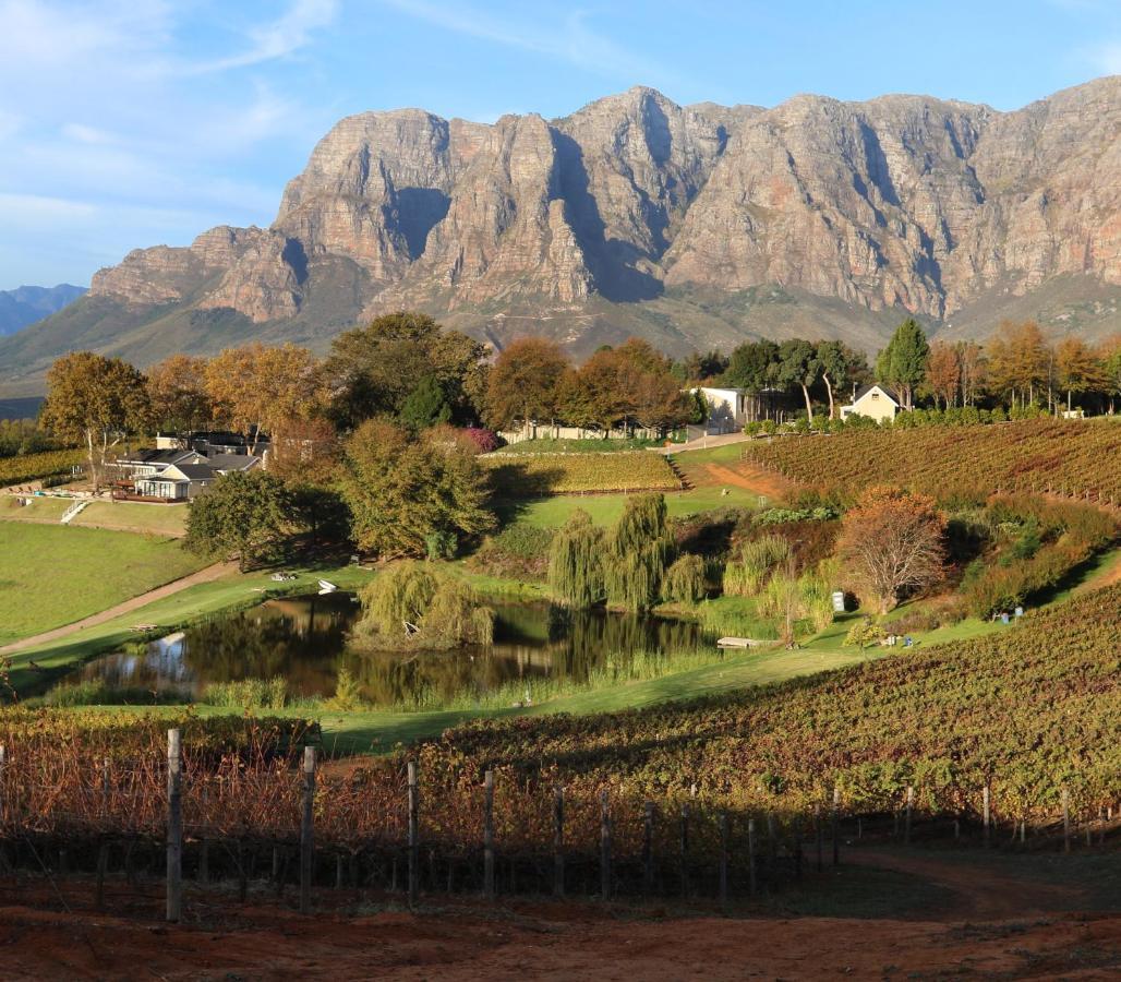 Alluvia Boutique Winery & Luxury Accommodation Стеленбош Екстериор снимка The Paarl Mountain Range