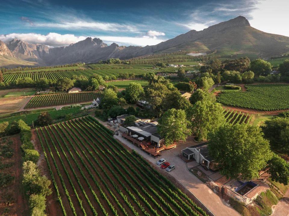 Alluvia Boutique Winery & Luxury Accommodation Стеленбош Екстериор снимка Aerial view of the winery
