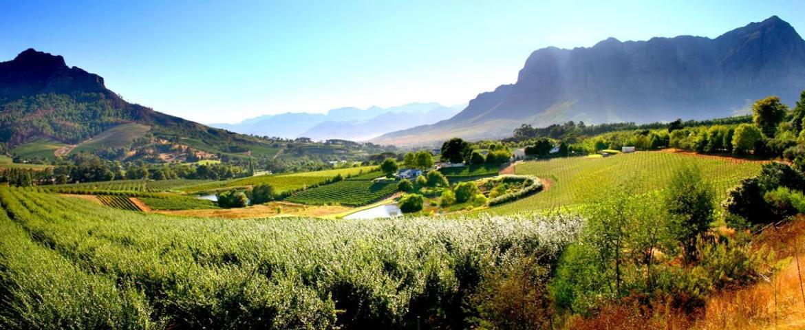 Alluvia Boutique Winery & Luxury Accommodation Стеленбош Екстериор снимка The Paarl Wine Route