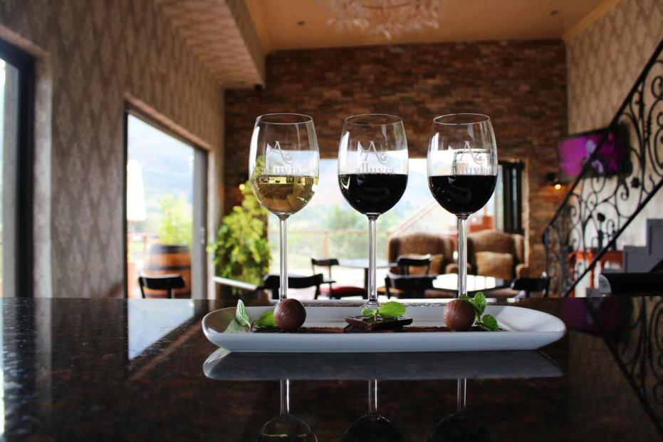 Alluvia Boutique Winery & Luxury Accommodation Стеленбош Екстериор снимка Wine tasting