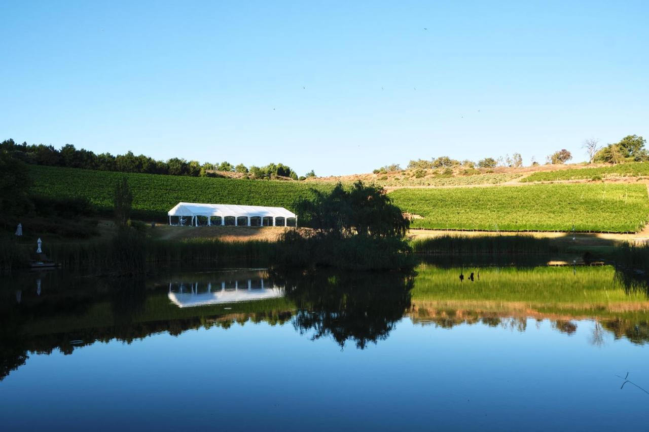Alluvia Boutique Winery & Luxury Accommodation Стеленбош Екстериор снимка The vineyard at the winery