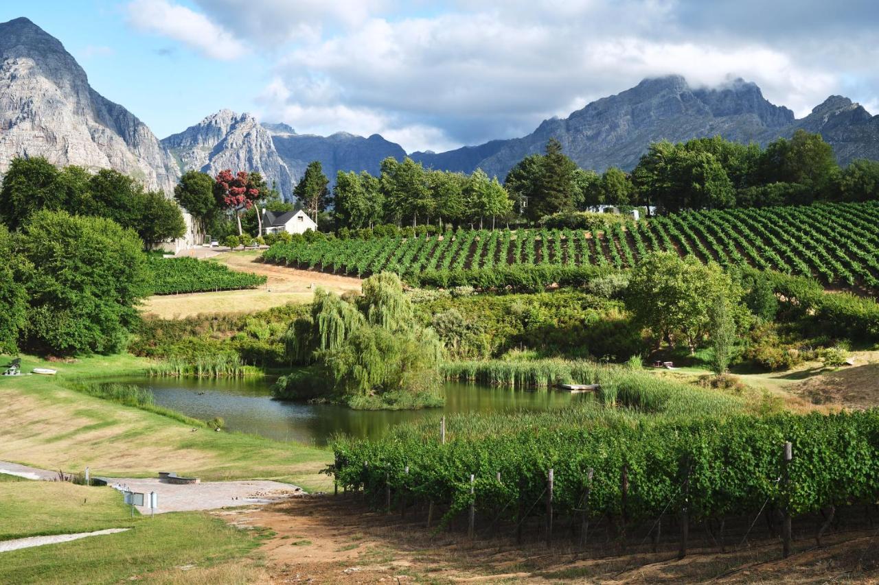 Alluvia Boutique Winery & Luxury Accommodation Стеленбош Екстериор снимка Wine estate in Stellenbosch