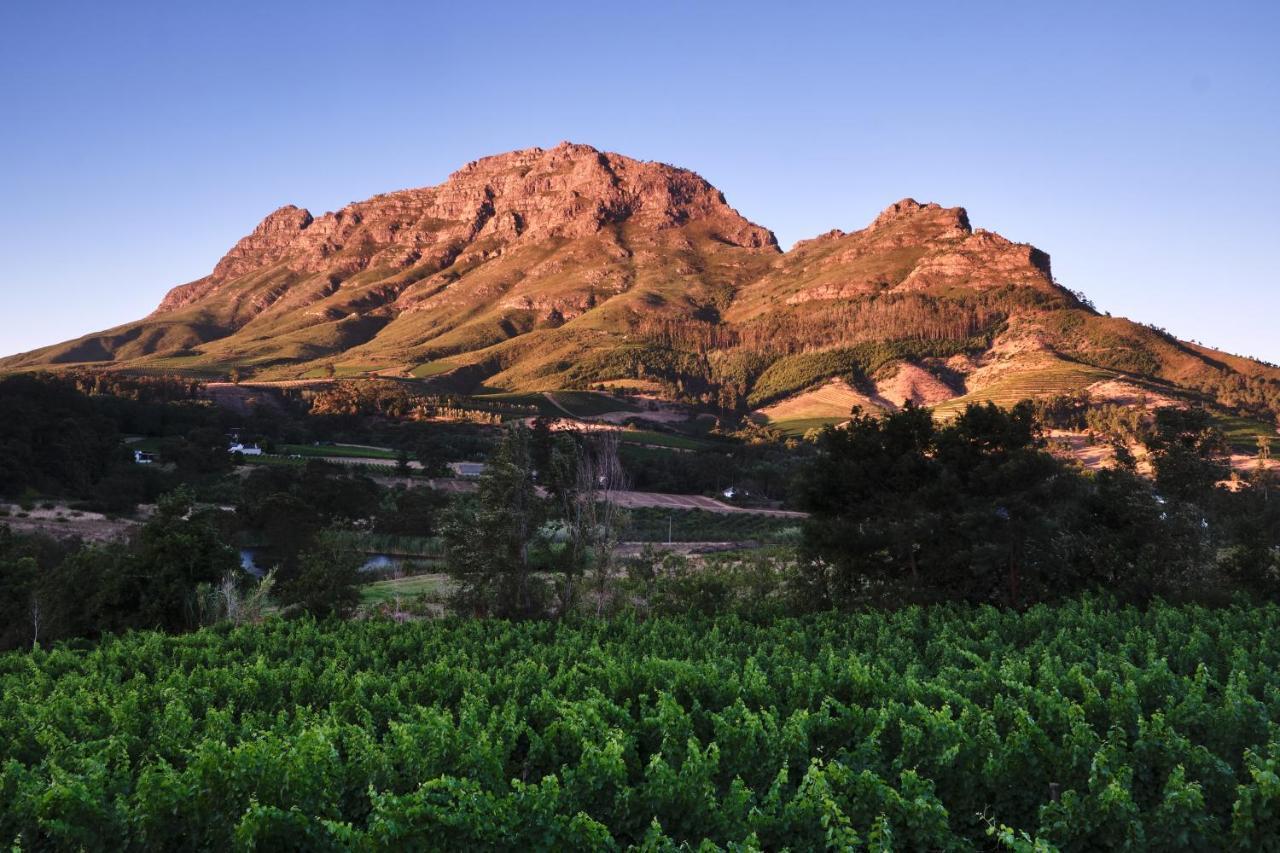 Alluvia Boutique Winery & Luxury Accommodation Стеленбош Екстериор снимка The Paarl Mountain