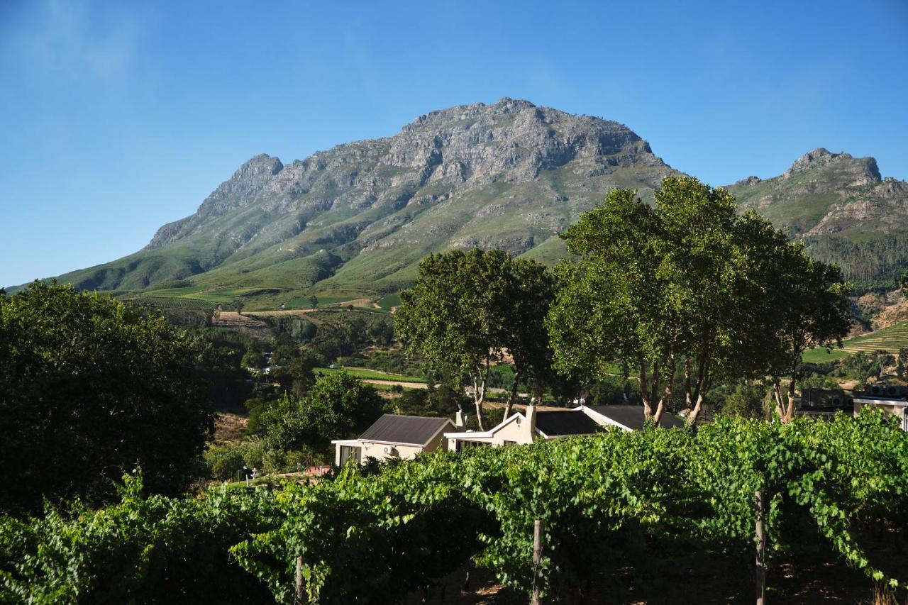 Alluvia Boutique Winery & Luxury Accommodation Стеленбош Екстериор снимка Wine estate in Stellenbosch