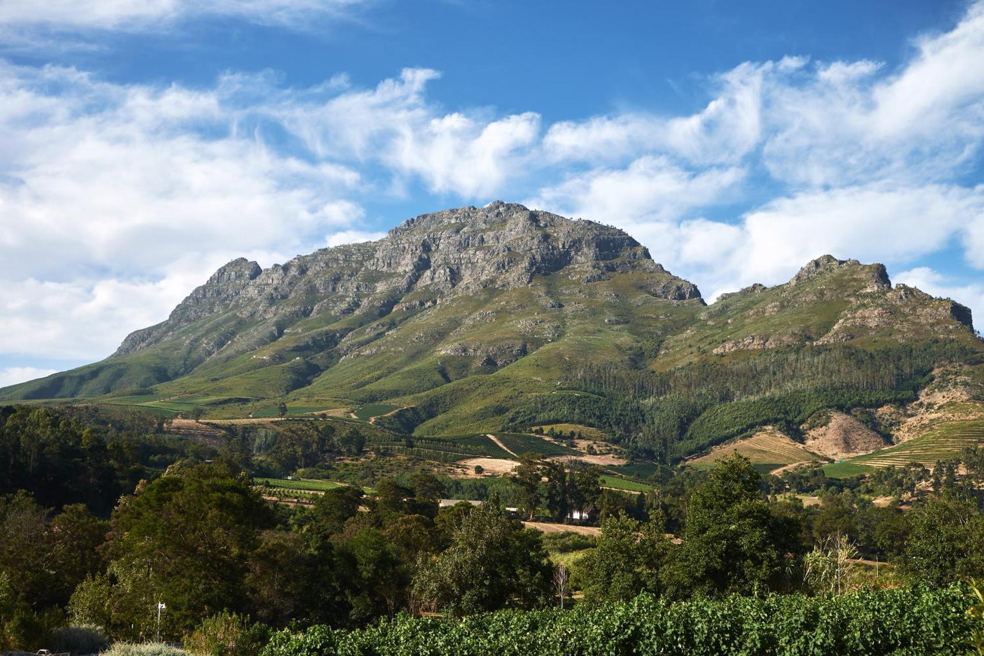 Alluvia Boutique Winery & Luxury Accommodation Стеленбош Стая снимка The Helderberg