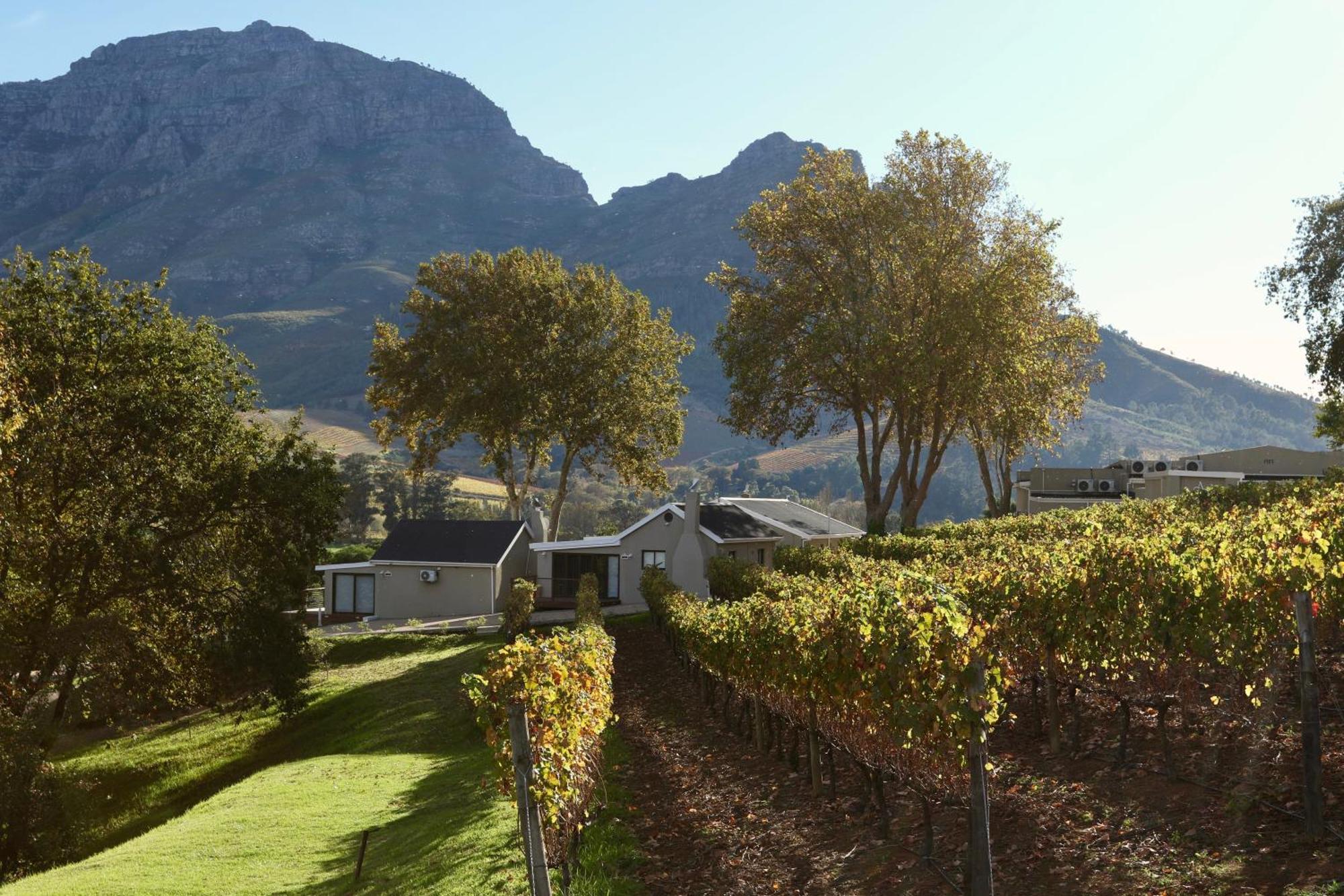 Alluvia Boutique Winery & Luxury Accommodation Стеленбош Стая снимка Wine estate in Stellenbosch