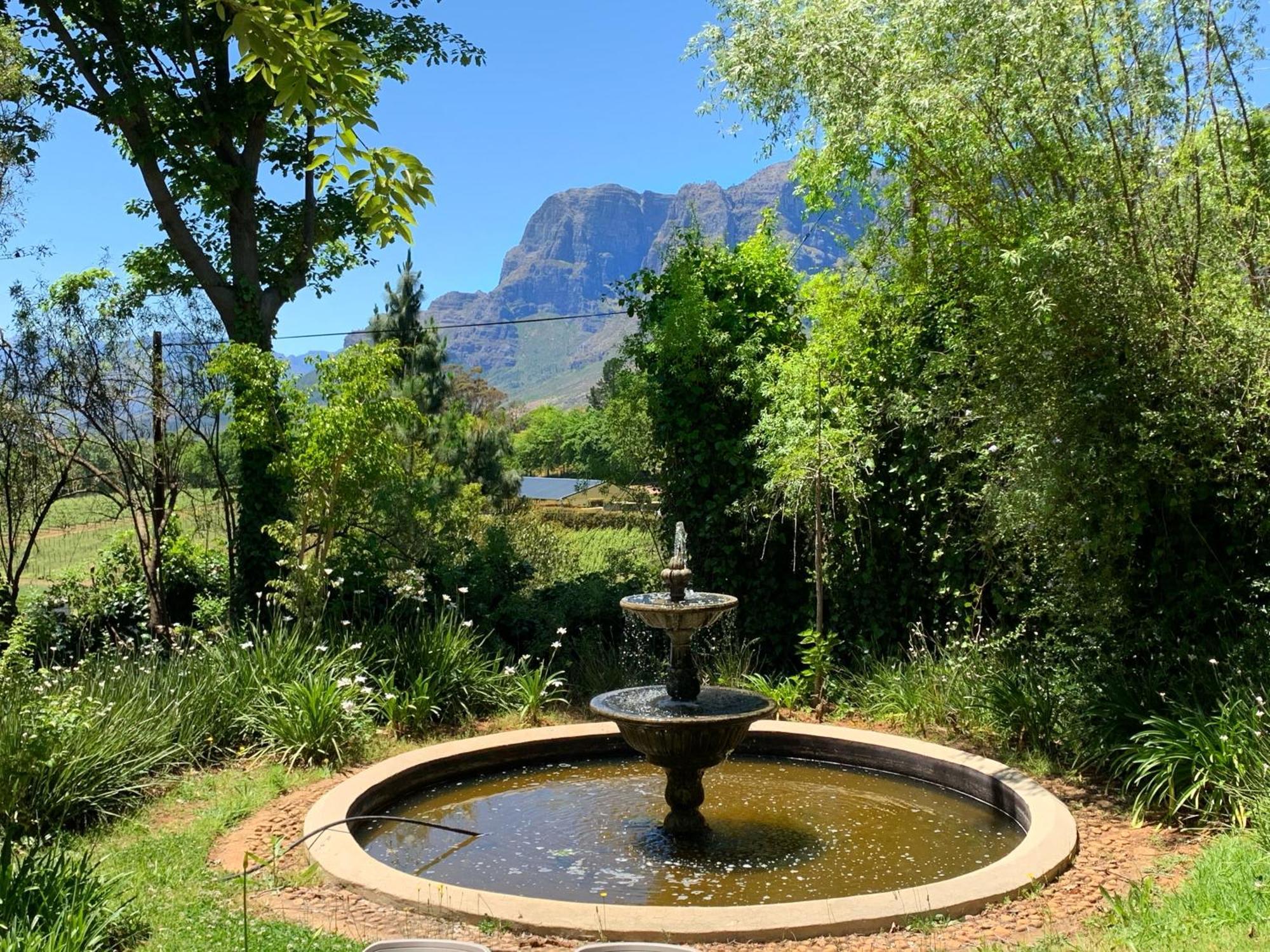 Alluvia Boutique Winery & Luxury Accommodation Стеленбош Стая снимка Fountain at the entrance of the Tokai Arboretum